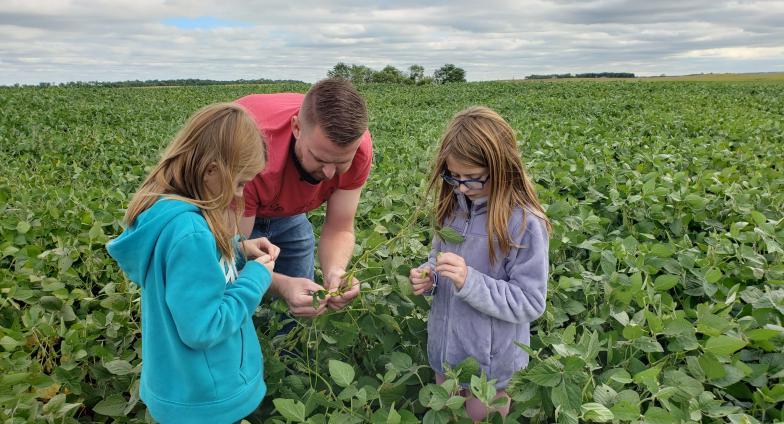2 children looking at soybean plant in field with dad